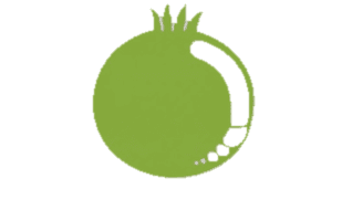 Perplexity Logo