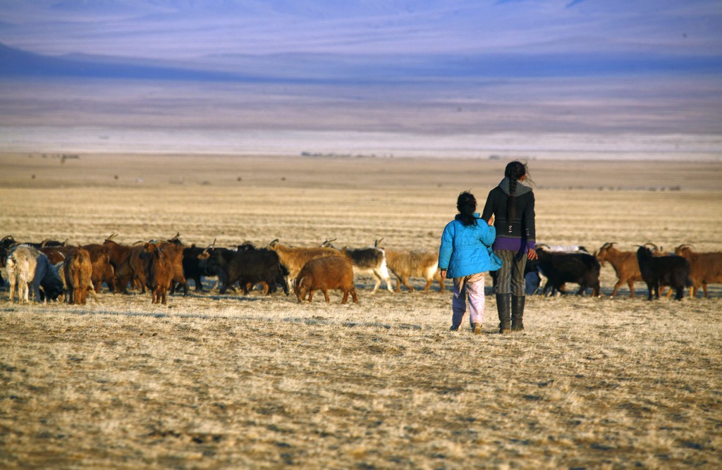 Digitized nomads: Lessons from Mongolia's herders